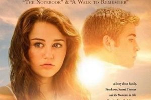 The Last Song  2010 movie