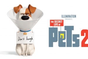 The Secret Life of Pets 2  2019 movie