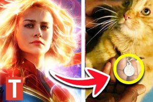 Truth about where Captain Marvel has been this whole time
