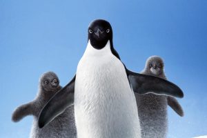 Penguins  2019 movie