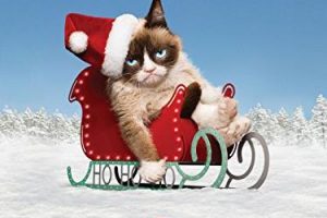 Grumpy Cat’s Worst Christmas Ever (2014 TV movie)