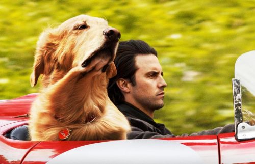 the art of racing in the rain 2019 movie milo ventimiglia amanda seyfried kevin costner the art of racing in the rain wikipedia the art of racing in the rain full trailer the art of racing in the rain cast watch the art of racing in the rain free the art of racing in the rain 2019 the art of racing in the rain trailer watch the art of racing in the rain online best scenes from the art of racing in the rain milo ventimiglia wikipedia the art of racing in the rain movie milo ventimiglia the art of racing in the rain full movie milo ventimiglia milo ventimiglia movies amanda seyfried wikipedia the art of racing in the rain movie amanda seyfried the art of racing in the rain full movie amanda seyfried amanda seyfried movies kevin costner wikipedia the art of racing in the rain movie kevin costner the art of racing in the rain full movie kevin costner kevin costner movies the art of racing in the rain gross the art of racing in the rain review new the art of racing in the rain movie 2019 movies the art of racing in the rain showing philippines the art of racing in the rain ticket price the art of racing in the rain earnings the art of racing in the rain box office earnings watch the art of racing in the rain the art of racing in the rain box office the art of racing in the rain download the art of racing in the rain ost the art of racing in the rain first day gross the art of racing in the rain soundtrack the art of racing in the rain release date philippines simon curtis wikipedia the art of racing in the rain movie simon curtis the art of racing in the rain full movie simon curtis simon curtis movies mckinley belcher iii wikipedia the art of racing in the rain movie mckinley belcher iii the art of racing in the rain full movie mckinley belcher iii mckinley belcher iii movies gary cole wikipedia the art of racing in the rain movie gary cole the art of racing in the rain full movie gary cole gary cole movies kathy baker wikipedia the art of racing in the rain movie kathy baker the art of racing in the rain full movie kathy baker kathy baker movies ryan kiera armstrong wikipedia the art of racing in the rain movie ryan kiera armstrong the art of racing in the rain full movie ryan kiera armstrong ryan kiera armstrong movies martin donovan wikipedia the art of racing in the rain movie martin donovan the art of racing in the rain full movie martin donovan martin donovan movies giacomo finn wikipedia the art of racing in the rain movie giacomo finn the art of racing in the rain full movie giacomo finn giacomo finn movies
