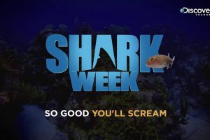Discovery Channel  Shark Week 2019 trailer  release date