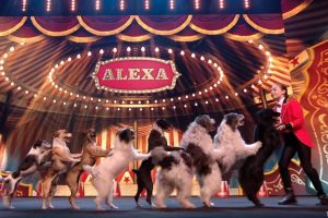 BGT The Champions  Alexa Lauenburger dog act gets Golden Buzzer