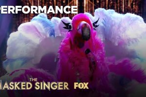 The Masked Singer 2019  Flamingo  Lady Marmalade   Week 7