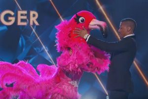 The Masked Singer 2019  Flamingo unmasked  who is Flamingo?