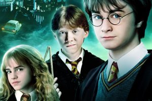 Harry Potter and the Chamber of Secrets  2002 movie