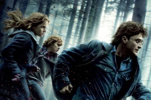 Harry Potter and the Deathly Hallows   Part 1  2010 movie