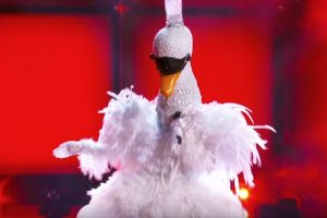 The Masked Singer  Swan sings  Fever   Season 3