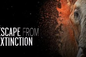 Escape from Extinction  2020 Documentary  Helen Mirren