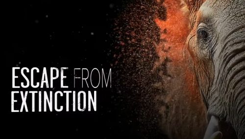 Escape from Extinction (2020 Documentary) Helen Mirren - Startattle