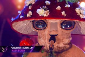 Mushroom The Masked Singer 2020  Unconditionally  Week 9