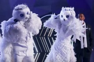Who are the Snow Owls  The Masked Singer 2020 Unmasked