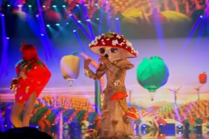 Mushroom The Masked Singer 2020 Finale “I Wish” Season 4