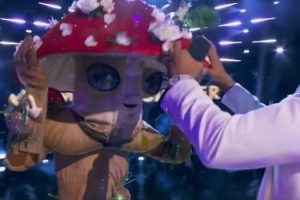 Who is the Mushroom, The Masked Singer 2020 unmasked