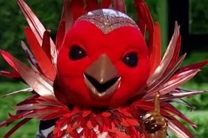 Robin The Masked Singer UK 2021  Dance Monkey  Series 2 Episode 3