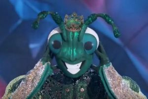 Who is the Cricket  The Masked Dancer unmasked Season 1