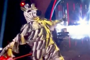 Zebra The Masked Dancer 2021  Mi Gente  Season 1 Week 5