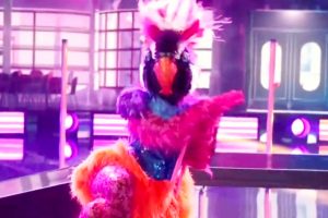 Exotic Bird The Masked Dancer 2021 “Opposites Attract” Season 1 Week 6