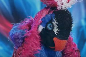 Who is Exotic Bird  The Masked Dancer unmasked Season 1