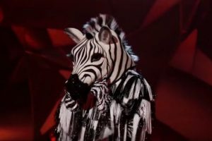 Who is Zebra, The Masked Dancer unmasked Season 1