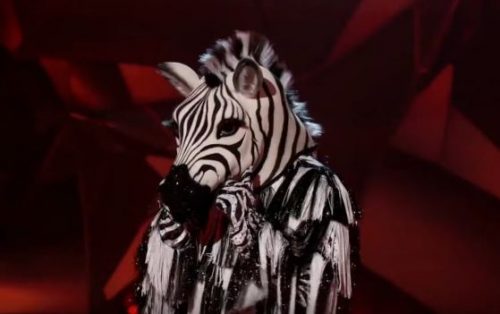 Who is Zebra, The Masked Dancer unmasked Season 1 - Startattle