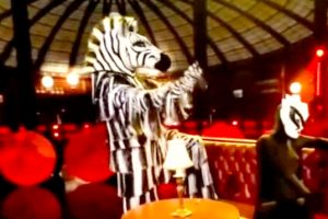 Zebra The Masked Dancer 2021  Take You Dancing  Season 1 Week 6