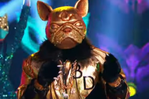 Bulldog The Masked Singer 2021  Candy Girl  New Edition Season 5 Week 5