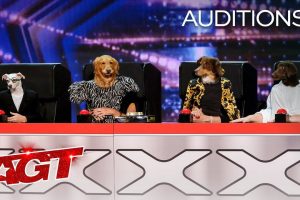 Canine Stars AGT 2021 Audition  Dog tricks  Season 16