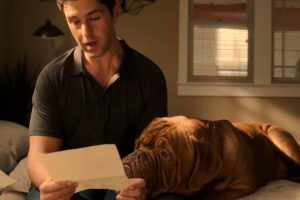 Turner & Hooch (Season 1 Episode 1) Disney+, “Forever and a Dog”, Comedy, trailer, release date