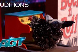 The Bock and Roll Band AGT 2022 Audition  Season 17  Chicken Act
