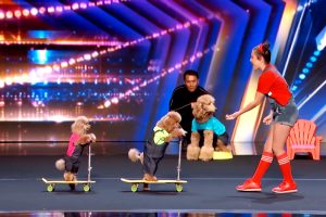 Veranica AGT 2022 Audition  Season 17  Dogs perform to  Butter  by BTS