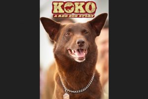 Koko: A Red Dog Story (2023 movie) trailer, release date