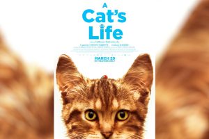 A Cat s Life  2024 movie  trailer  release date